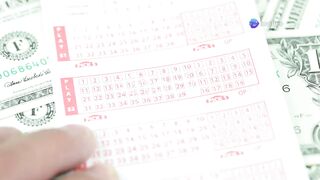 Lottery Defeater Software Reviews 2025 – Is it Scam or Legit?