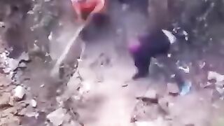 24 crazy accident of animal
