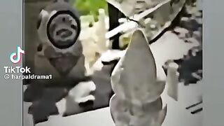 Allah hu Akbar