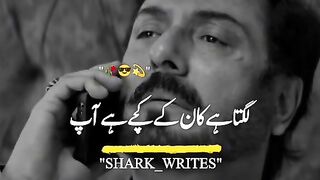 Best actor noman ijaz