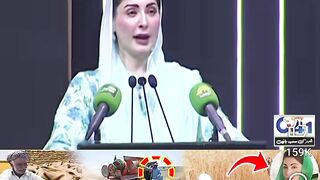 Wheat kisan 5000 akar