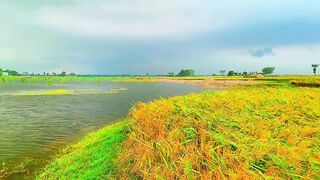 The moment before the rain comes is a little more beautiful,,,!!????️????️