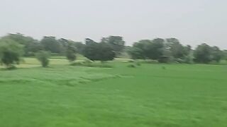 Peaceful weather