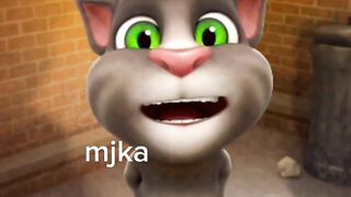 Cat tom dog