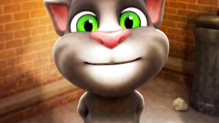 Funny cat