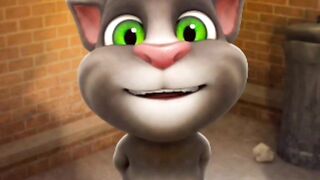 Cleber cat