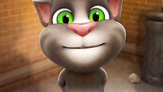 Tom cat creber dance