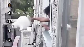 Funny Cat