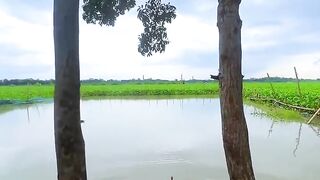Natural view of Bangladesh