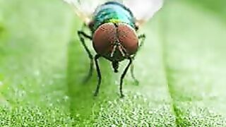 scientific-miracles-in-the-quran-and-sunnah 7