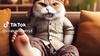 Funny video