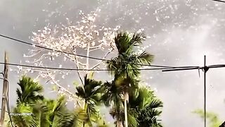 viral