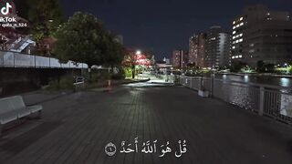 "A Soothing Journey Through the Holy Quran | Hearfelt Recitation