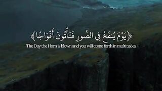 A Soothing Journey Through the Holy Quran | Heartfelt Recitation"