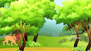 Loin & rabbit story