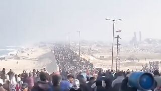Gaza????Palestine