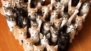 এরকম ভিড়িও বানানোর টিউটোরিয়াল :