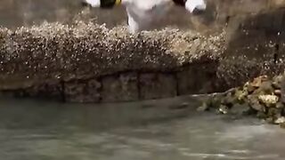 Funny moments ????????