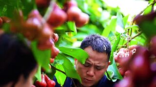 Fruit Lovers
