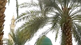جس نے وفاؤں سے تاریخ لکھی ہے