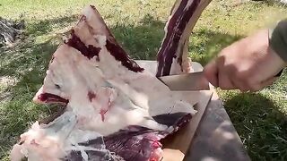 "Mountain cooking adventure"