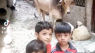 Eid Mubarak