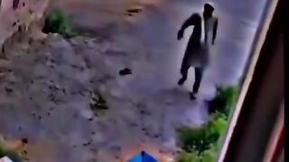 Funny video