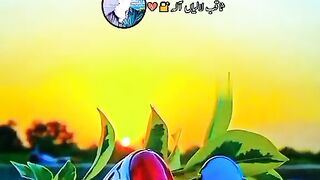 Earning with video