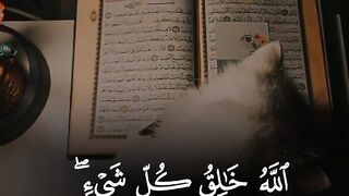 Quran recitation