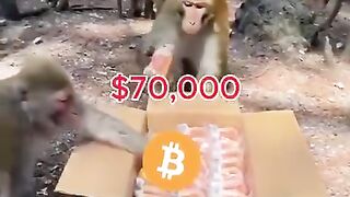 Crypto  market