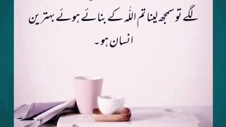 islamic knowledge #arabculture #quotes #hazratali #bestquotes #islamicstudies #goldenwords #love