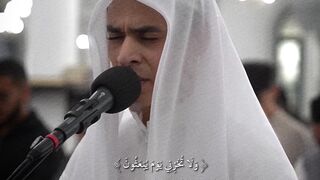 Abdul Rehman Mossad | Taraweh Recitation |