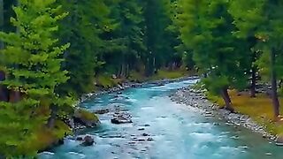 Natural veiw