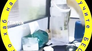 Получите БЕСПЛАТНО крипто хаб 500$!