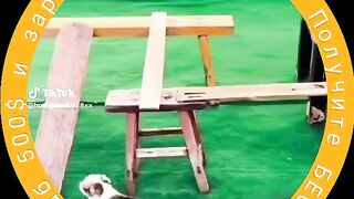 Получите БЕСПЛАТНО крипто хаб 500$!