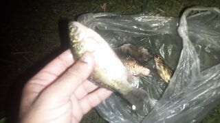 Night fishing short