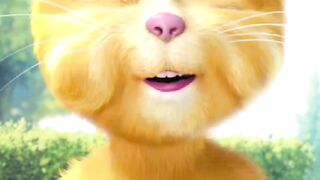 Boon tom cat