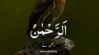 Islamic words