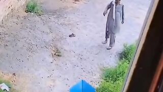 Online video funny