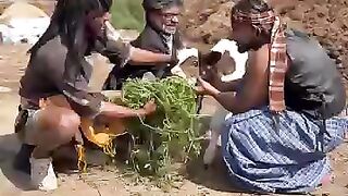 Sakina ki video