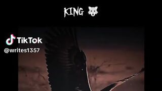 Short video