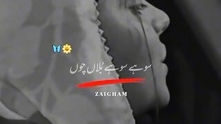 Short Punjabi song clip