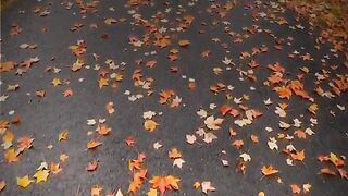 Poetry video