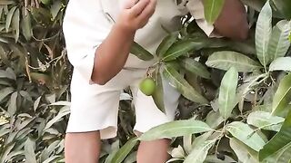 Funny video of mango thief karma