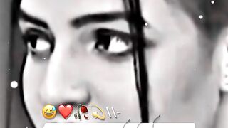 Urdu  poetry