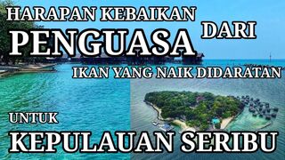 Mengungkap Fenomena ikan naik ke daratan