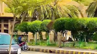 Short Clip Videos 2023// Stutas Video //Beautiful City