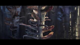 Animation Cartoon Movie