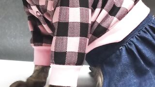 Cat clothes