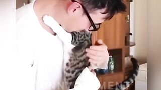 Funny???? Animals???? Top 10 Viral Videos, Part 22, Funny Dogs, Funny Cats, Funny Pets, Funny Moment